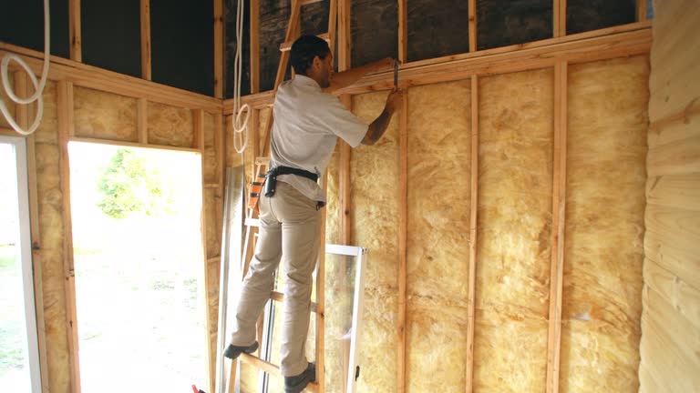 Types of Insulation We Offer in Southmayd, TX